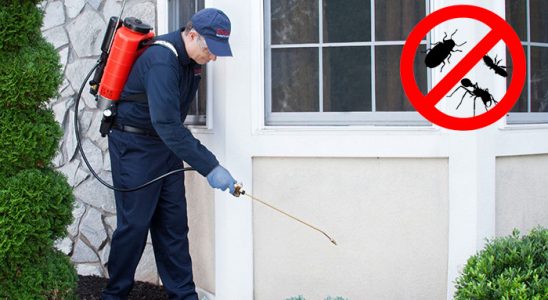 Kalkandere Kene İlaçlama böcek ilaçlama ve haşere kontrolü — ilaclama-tr.com